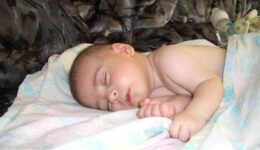 29-07-06 Christakis