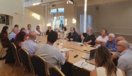 Are UK Cypriot organisations representative1