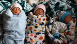 Three of the al-Masry quadruplets belonging to Ammar and Iman al-Masry sleep while sheltering at a school in Deir el-Balah in the central Gaza Strip on 27 December. Are they still alive? Nobody can be sure in Gaza? [Mahmud Hams/AFP].
